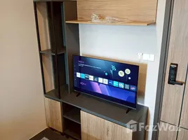 คอนโด 1 ห้องนอน ให้เช่า ในโครงการ เดอะ คูเปอร์ สุขุมวิท 64, บางจาก