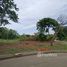  Land for sale in Thailand, Khlong Song, Khlong Luang, Pathum Thani, Thailand