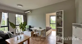 ยูนิตมือสองและให้เช่า