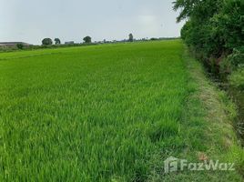  Land for sale in Song Phi Nong, Suphan Buri, Hua Pho, Song Phi Nong
