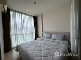 คอนโด 1 ห้องนอน ให้เช่า ในโครงการ เดอะ เบส ดาวน์ทาวน์, วิชิต