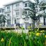 Studio Villa for sale in Quan Hoa, Cau Giay, Quan Hoa