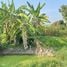  Land for sale in Nakhon Pathom, Lan Tak Fa, Nakhon Chai Si, Nakhon Pathom