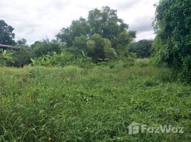 N/A Land for sale in Ban Khai, Rayong 400 sqw Land for Sale in Ban Khai