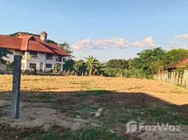  Grundstück zu verkaufen in Mae Rim, Chiang Mai, Don Kaeo, Mae Rim