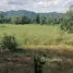 Land for sale in Phrommani, Nakhon Nayok, Phrommani, Mueang Nakhon Nayok