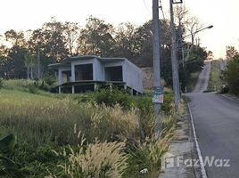 ขายที่ดิน ใน วิชิต, ภูเก็ต, วิชิต, เมืองภูเก็ต, ภูเก็ต