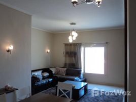 1 Bedroom Apartment for rent at The Village, South Investors Area