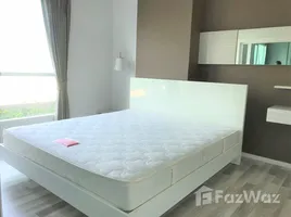 คอนโด 1 ห้องนอน ให้เช่า ในโครงการ ซีรีนเลค นอร์ท 8, แม่เหียะ