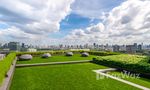 Communal Garden Area at Niche Pride Taopoon-Interchange