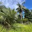  Land for sale in Bo Phut, Surat Thani, Bo Phut, Koh Samui