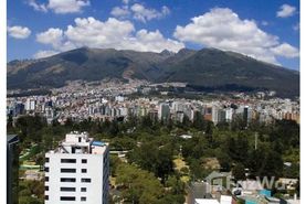 Carolina 1003: New Condo for Sale Centrally Located in the Heart of the Quito Business District - Qu Real Estate Development in Quito, Pichincha