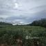  Land for sale in Sattahip, Chon Buri, Bang Sare, Sattahip