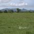  Terrain for sale in San Carlos, Panama Oeste, San Carlos, San Carlos