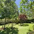 Maison 4 chambre à vendre à Sosua, Puerto Plata, Sosua, Puerto Plata, République dominicaine
