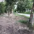  Земельный участок for sale in Yu Wa, Чианг Маи, Yu Wa, Сан Патонг