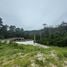  Terreno (Parcela) en venta en Maret, Surat Thani, Maret, Koh Samui