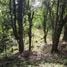  Land for sale in Leon Cortes San Jose, Leon Cortes, San Jose, Costa Rica