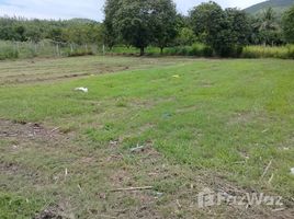 Terreno (Parcela) en venta en Pran Buri, Prachuap Khiri Khan, Nong Ta Taem, Pran Buri