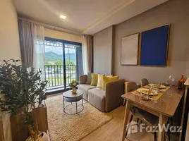 1 Habitación Apartamento en alquiler en The Base Cherngtalay, Choeng Thale, Thalang, Phuket, Tailandia
