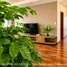 3 Habitación Apartamento en alquiler en TD Plaza Hai Phong, Dong Khe, Ngo Quyen, Hai Phong