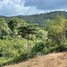  Land for sale in Choeng Thale, Phuket, Choeng Thale