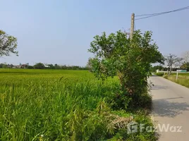  Grundstück zu verkaufen in San Kamphaeng, Chiang Mai, Ton Pao, San Kamphaeng