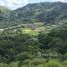  Land for sale in Guanacaste, Santa Cruz, Guanacaste