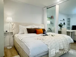 คอนโด 1 ห้องนอน ให้เช่า ในโครงการ 49 สวีท, คลองตันเหนือ