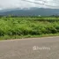 ขายที่ดิน ใน โป่งตาลอง, นครราชสีมา, โป่งตาลอง, ปากช่อง, นครราชสีมา, ไทย