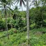  Land for sale in Khanom, Nakhon Si Thammarat, Khanom, Khanom, Nakhon Si Thammarat, Thailand