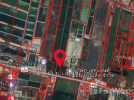  Terrain for sale in Nakhon Pathom, Lam Luk Bua, Don Tum, Nakhon Pathom