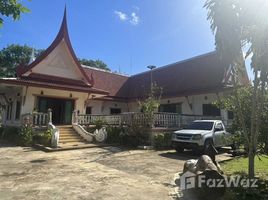 5 Schlafzimmer Villa zu verkaufen in Thalang, Phuket, Pa Khlok