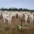  Terreno for sale in Brasil, Abaetetuba, Pará, Brasil