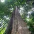  Terreno (Parcela) en venta en Padang Bolak, North Sumatera, Padang Bolak, Tapanuli Selatan, North Sumatera