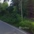  Land for sale in Mueang Chumphon, Chumphon, Na Thung, Mueang Chumphon