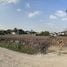  Land for sale in Bang Si Mueang, Nonthaburi, Bang Si Mueang, Mueang Nonthaburi, Nonthaburi