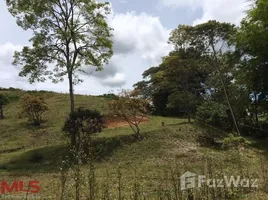  Terrain for sale in Colombie, La Ceja, Antioquia, Colombie
