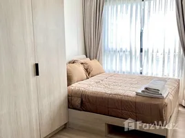 1 Bedroom Condo for rent at Dcondo Reef Phuket, Kathu, Kathu, Phuket, Thailand