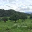  Land for sale in Khanong Phra, Nakhon Ratchasima, Khanong Phra, Pak Chong, Nakhon Ratchasima
