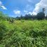  Terrain for sale in Phuket, Chalong, Phuket Town, Phuket