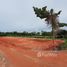 N/A Land for sale in Bang Sai, Koh Samui Land for Sale in Mueang Surat Thani
