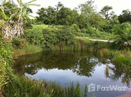  Grundstück zu verkaufen in Thalang, Phuket, Pa Khlok