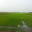  Земельный участок for sale in Khlong Si, Патумтани, Khlong Si