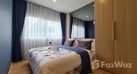 ยูนิตมือสองและให้เช่า