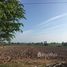  Land for sale in Udon Thani, Pakho, Kumphawapi, Udon Thani