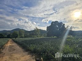 ขายที่ดิน ใน หนองตาแต้ม, หัวหิน, หนองตาแต้ม