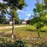 2 Bedroom House for sale in Nong Nam Daeng, Nakhon Ratchasima, Nong Nam Daeng, Pak Chong