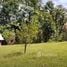  Land for sale in Perez Zeledon, San Jose, Perez Zeledon