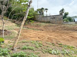  Terrain for sale in Rawai, Phuket Town, Rawai